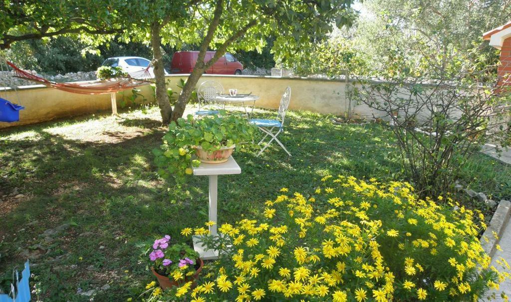 Apartmani Volga Petrcane Exteriör bild